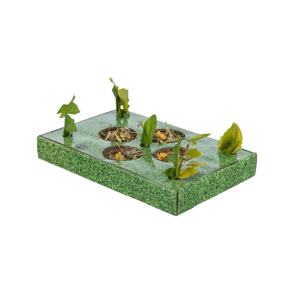 Gallery Thumb Gallery Thumb