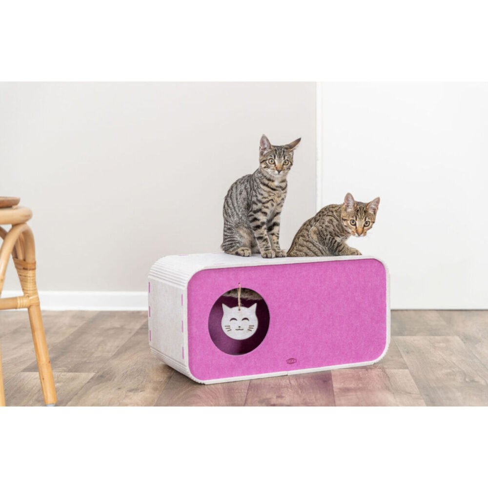 Shop Secondary Image