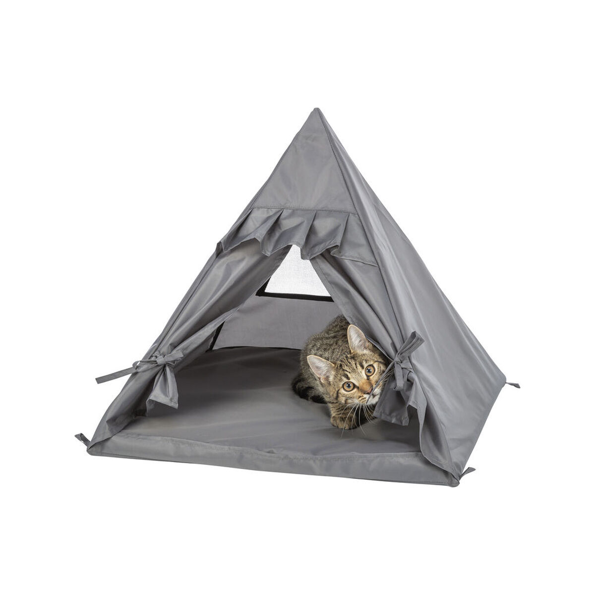 M0609943_0 M0609943_0