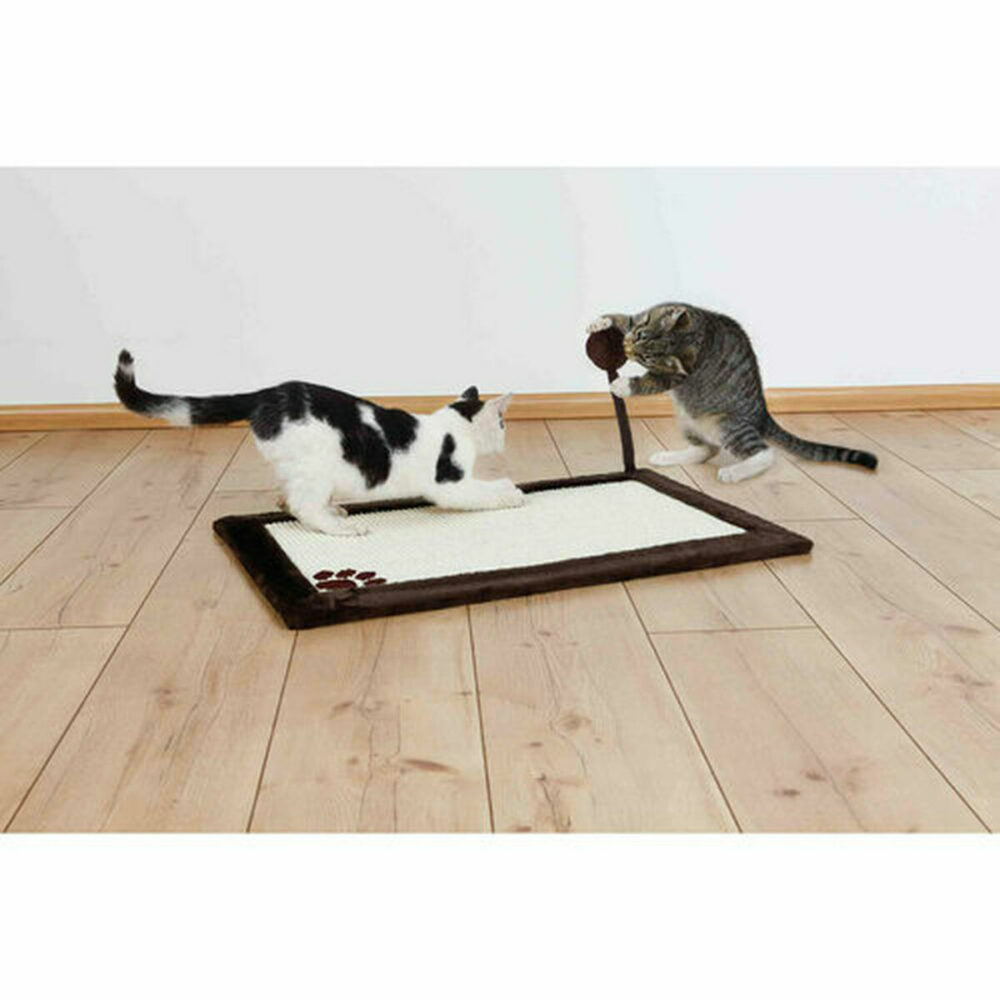 Shop Secondary Image