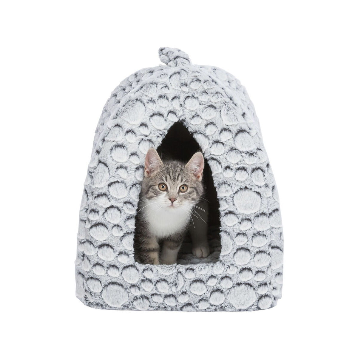 M0605829_0 M0605829_0