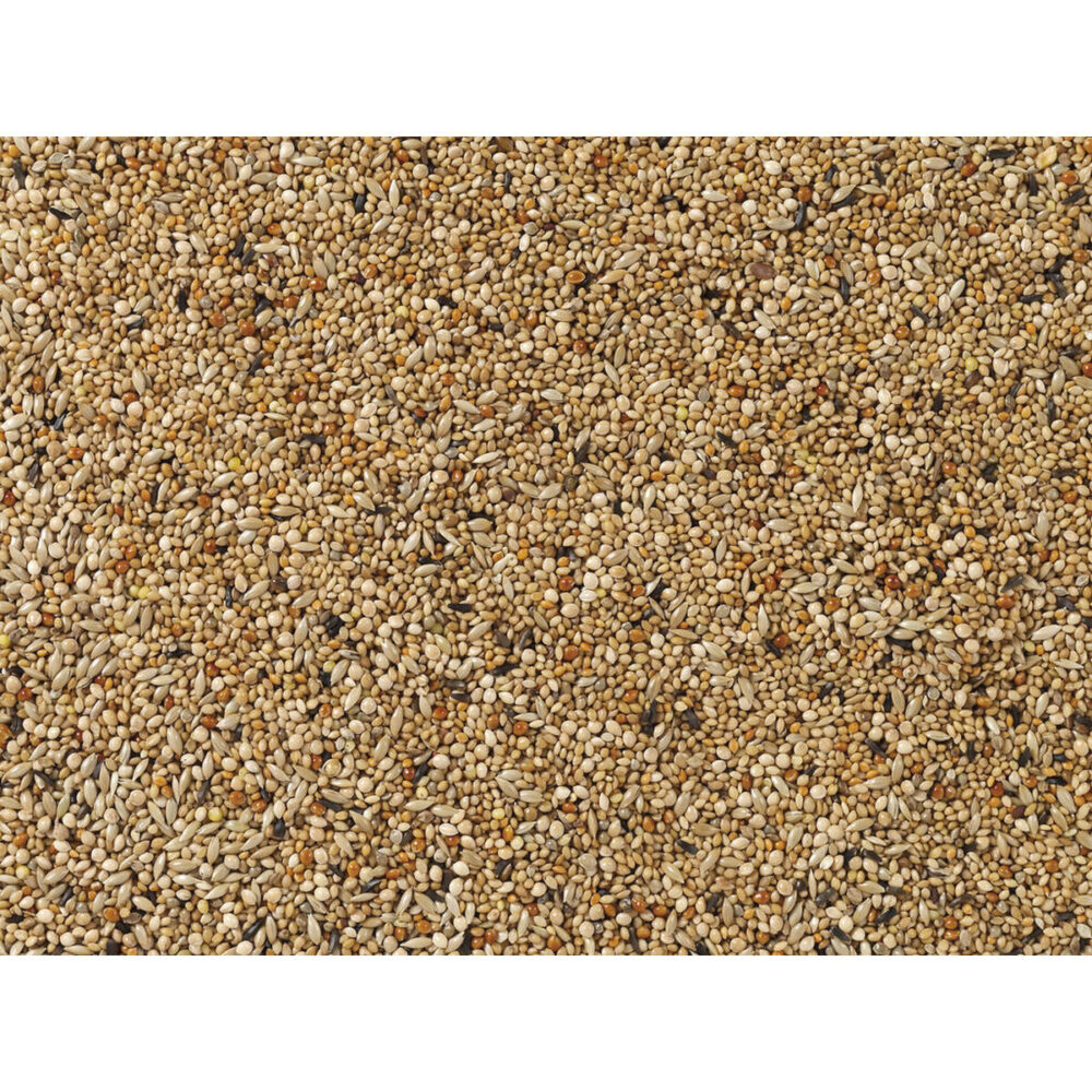 Shop Secondary Image