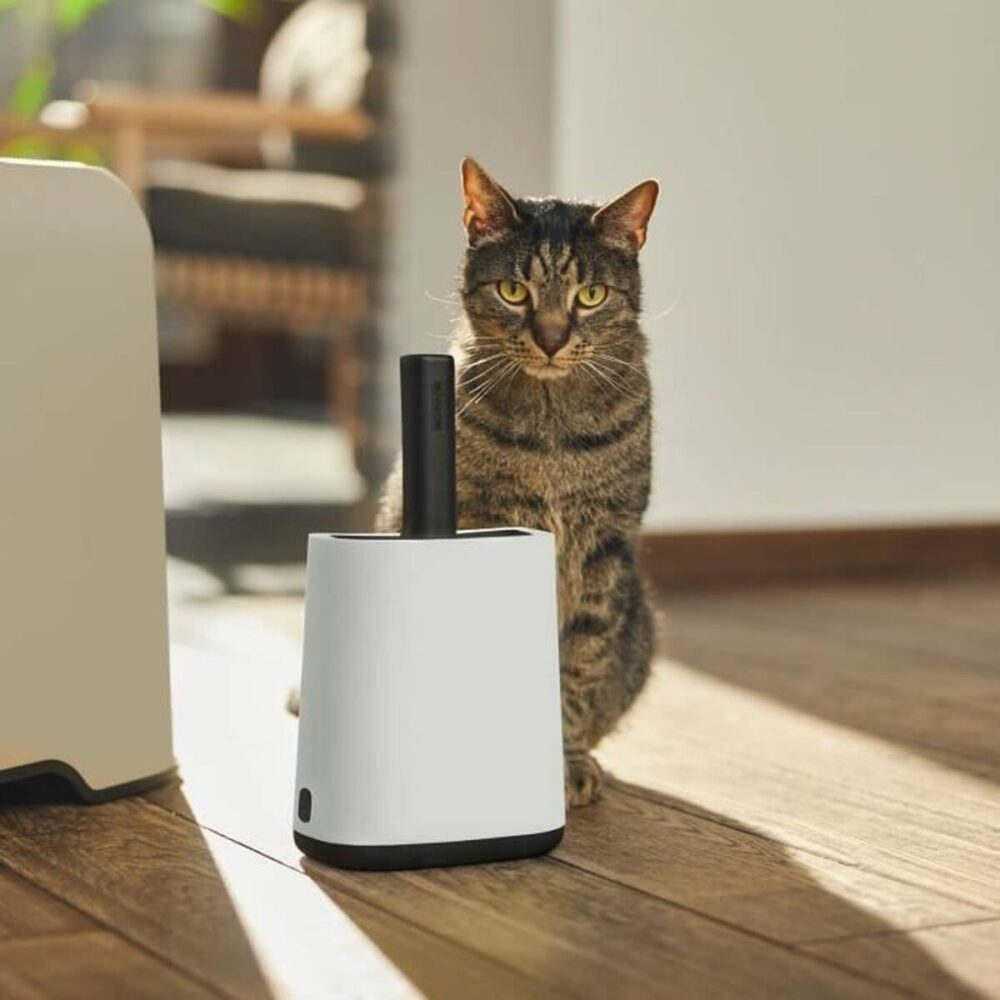 Shop Secondary Image