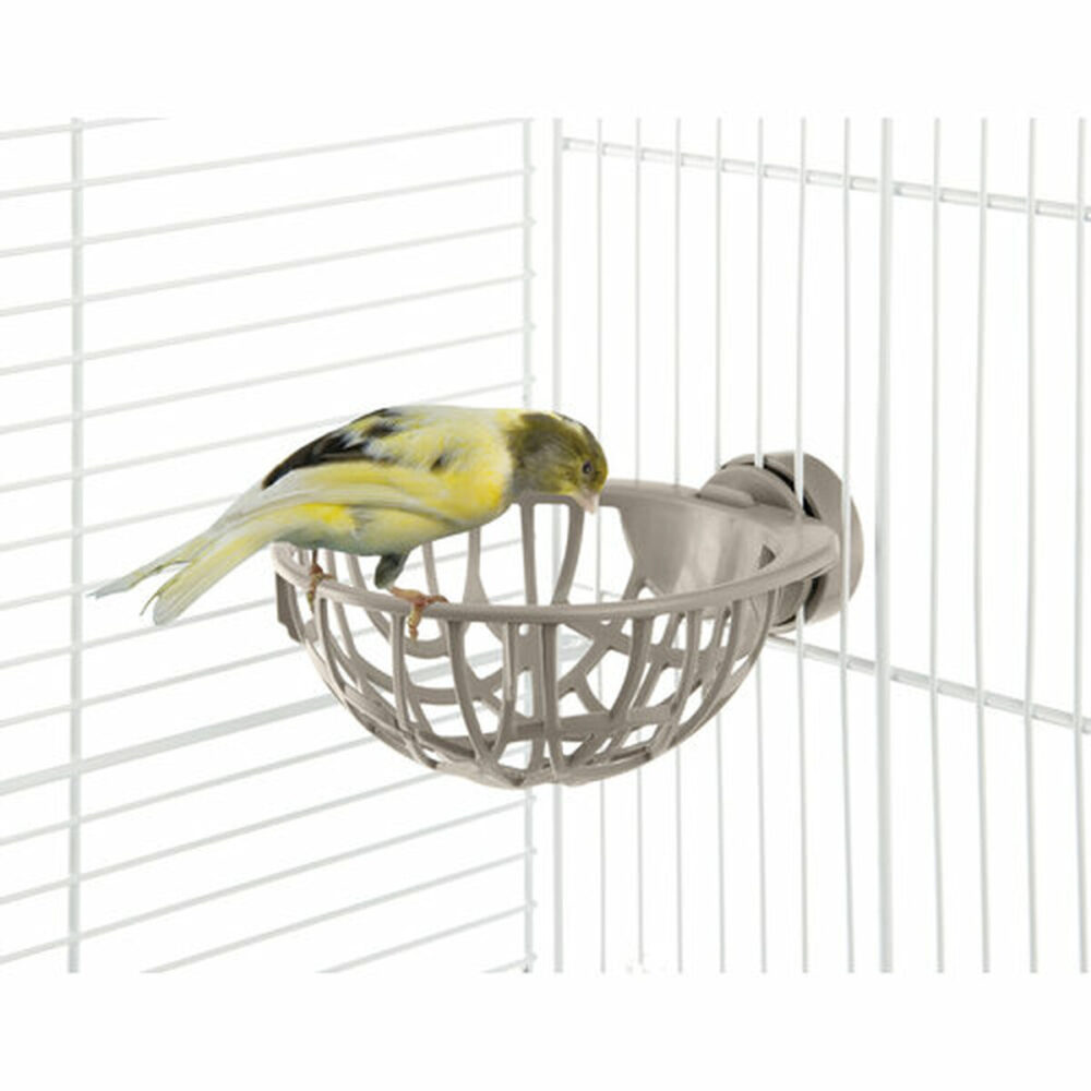 Shop Secondary Image